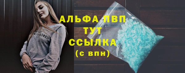 амф Верея