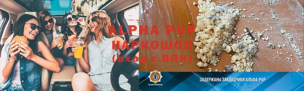 амф Верея