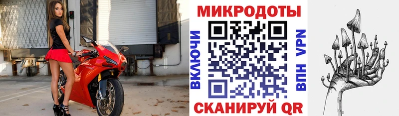 omg сайт  Невьянск  даркнет наркотические препараты  наркота  Псилоцибиновые грибы мицелий 